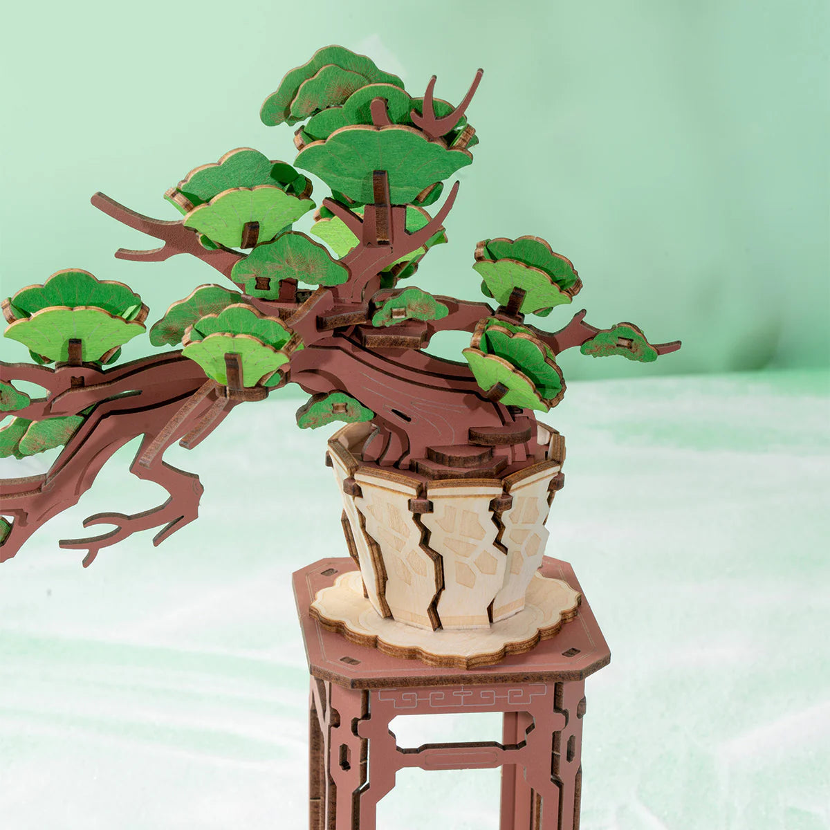 Bonsai de Pinheiro | Quebra-cabeça 3D