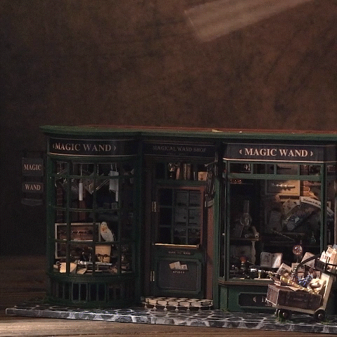Loja de Magia Casa Miniatura DIY